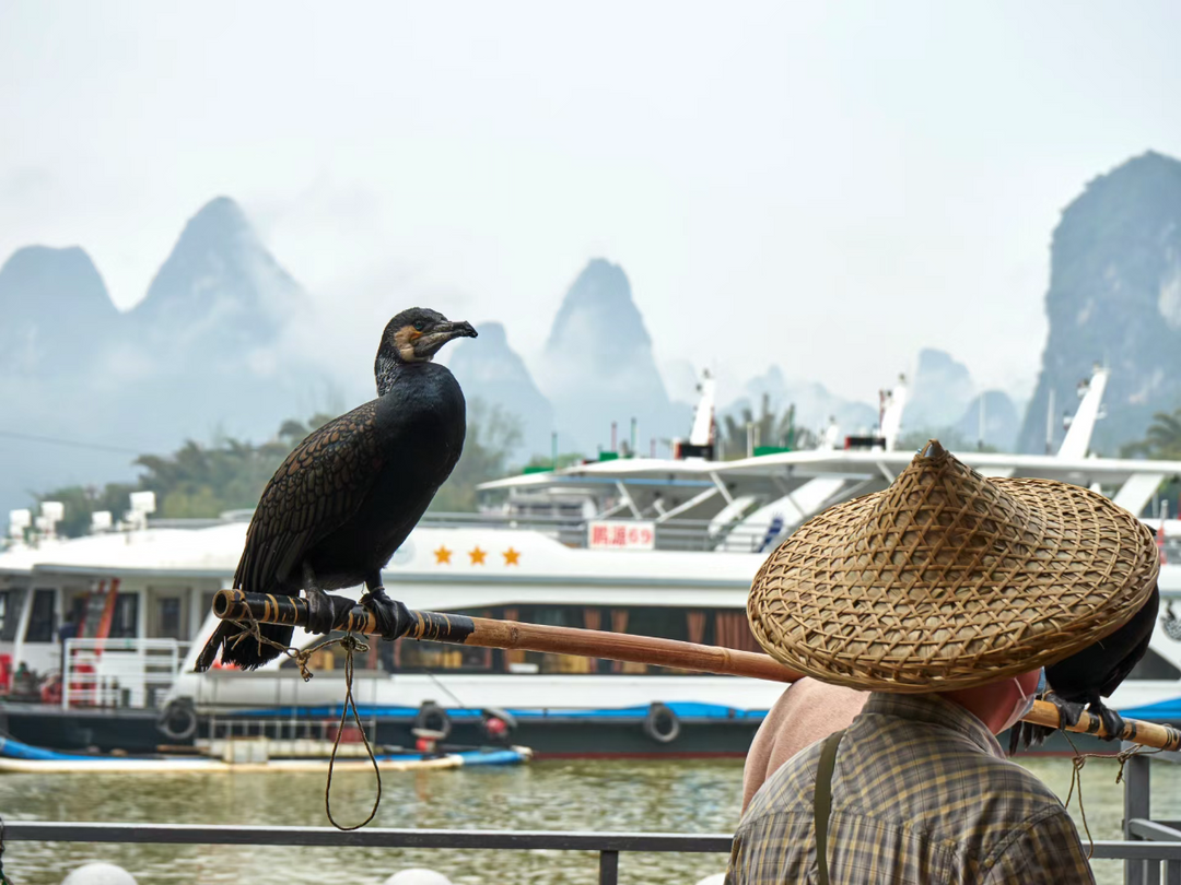 13 Days from Li River to the Yangtze Tour