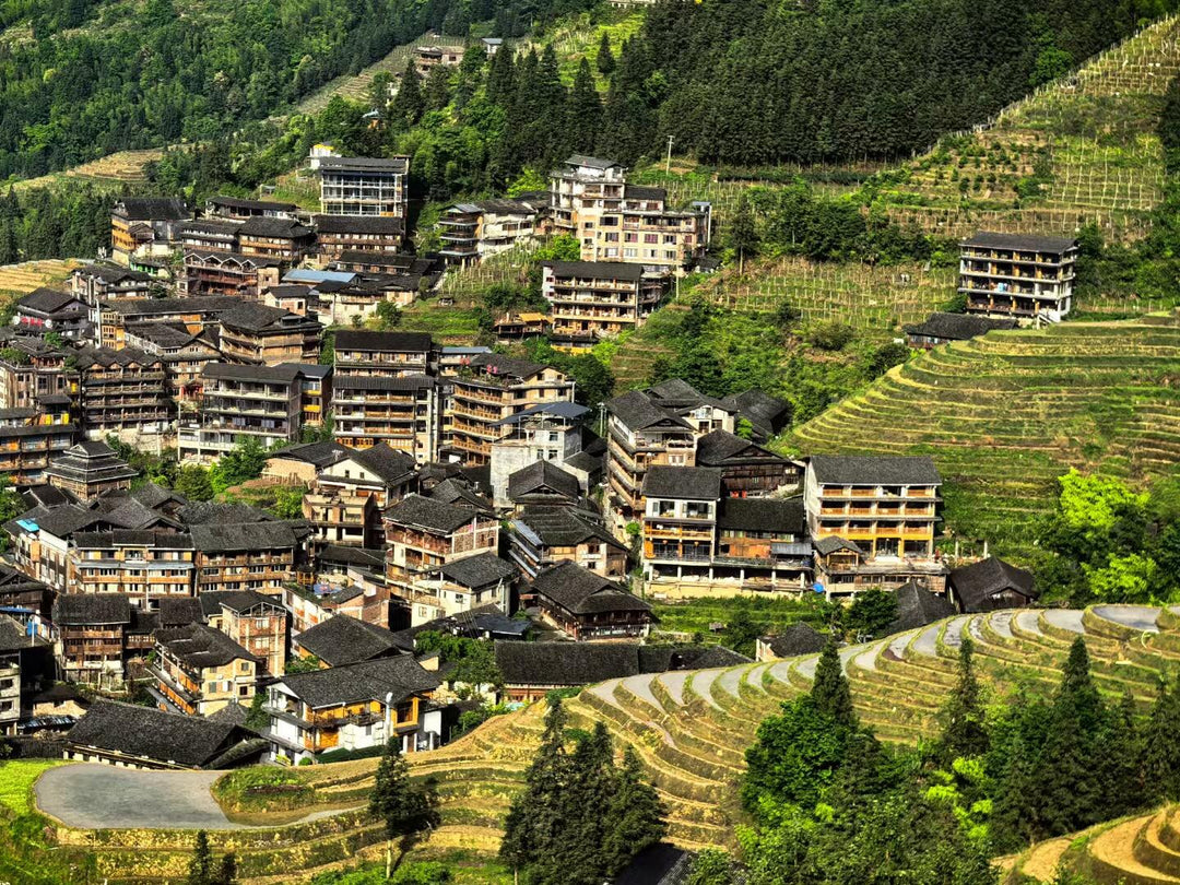 4 Days 'Enchanting Landscapes' Tour