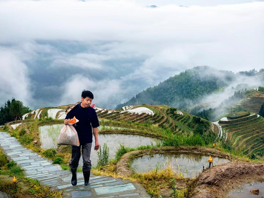 4 Days 'Enchanting Landscapes' Tour